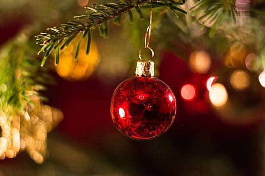 kerstboom-01695198502.jpg
